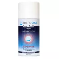 Thermcool Spray Froid Fl/300ml à Nice